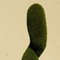 21 topiary a