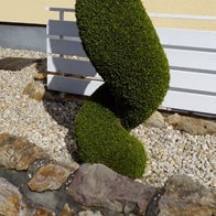 21 topiary b